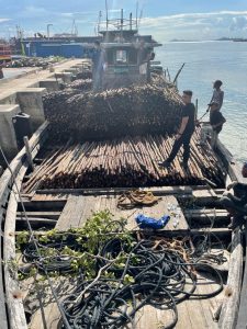 Bea Cukai Batam Gagalkan Penyelundupan 10.810 Batang Kayu Teki Di Perairan Pulau Jaloh Atas Batam