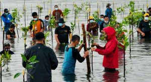 Presiden Jokowi “Nyemplung” Saat Tanam Mangrove di Setokok Kota Batam