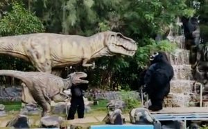 NEWS VIDEO : Ada Dinosaurus dan King Kong Raksasa Di Dino’s Gate Bengkong Kota Batam