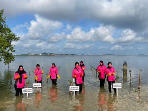 Cegah Abrasi di Pantai Marina Kota Batam, Ketua Bhayangkari Polresta Barelang dan Pengurus Tanam Mangrove