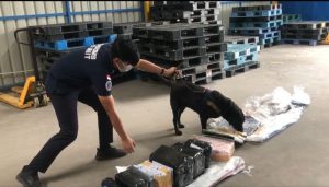 Anjing K-9 Milik Bea Cukai Batam, Berhasil Temukan Sabu Dalam Buku Kamus Milik AL Warga Bengkong