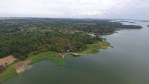 Peduli Lingkungan, BP Batam dan PT TDK Electronics Indonesia  Akan Tanam 2.000 Batang Pohon