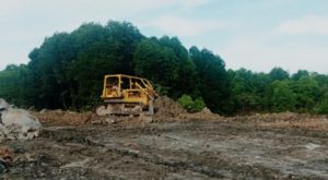 Duh! Indahnya Hutan Mangrove di Bengkong Kota Batam Ditimbun. Kenapa?