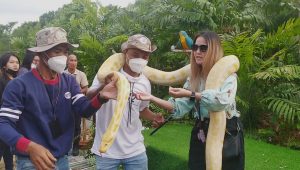 Harga Tiket Masuk di Eco Edu Park Panbil Nature Reserve Kota Batam,  Dibandrol 5000 -10000, Anak – Anak Gratis