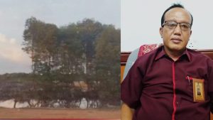 TEGAS!, Komisi I DRPD Batam akan Panggil PT Harmoni Mas Terkait Reklamasi Hutan Mangrove di Bengkong