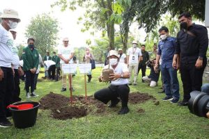 Cegah Pemanasan Global, Menko PMK Tanam 300 Ribu Pohon Produktif dan Buah di Medan