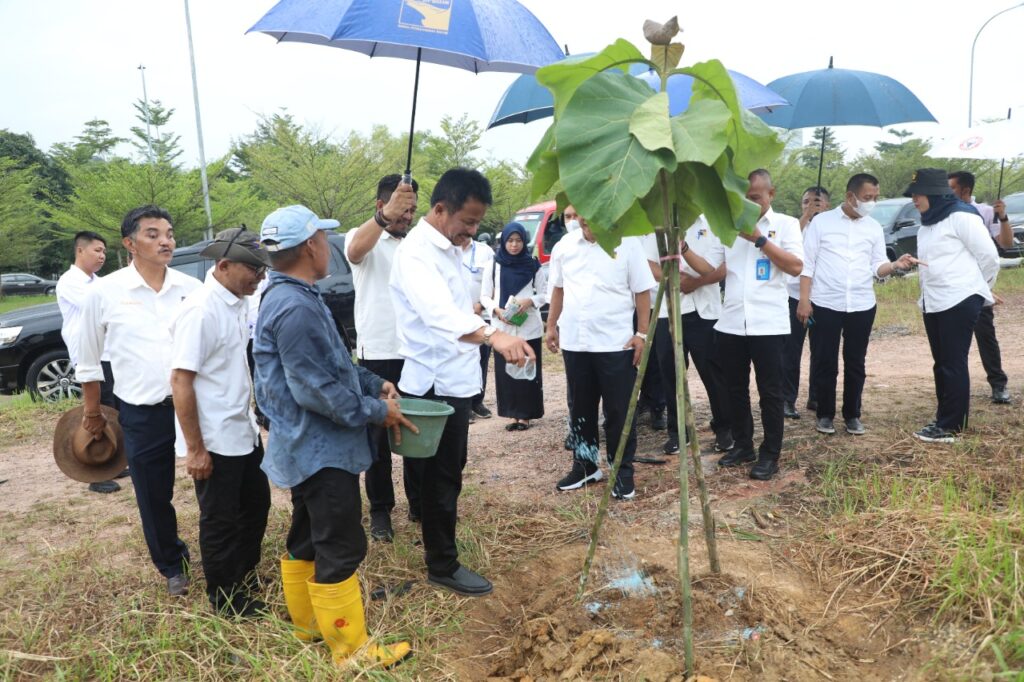 Mantan Kepala BP Batam HM. Rudi Kirim Pesan Menohok Setelah Pohon Jati Emas di Batam Dibabat Misterius
