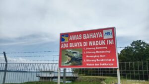 Viral Penampakan Buaya di Dam Duriangkang, BP Batam Imbau Masyarakat Waspada
