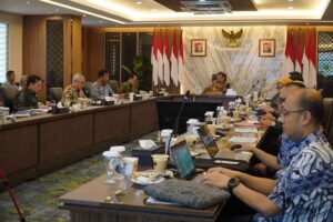 Pengembangan Rempang Akan Beri Spillover Effect ke Kawasan Lain di Kepri