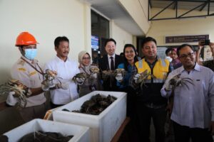 Kepala BP Batam Muhammad Rudi Lepas Ekspor Perdana Kepiting Bakau ke China