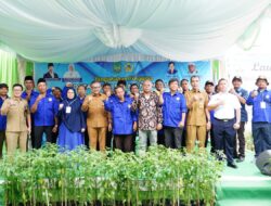 Cabai dan Sayur Tercukupi di Batam, Jefridin ke Petani Batam : Pemko dan Petani Terus Bersinergi