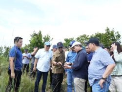 Kemenko Polhukam Bersama Sekretariat Kabinet, Kementrian Investasi dan Dewan Pengawas BP Batam Tinjau Pembangunan Rumah di Tanjung Banon