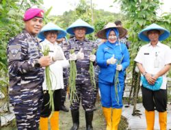 Bersama Danlantamal IV, Jefridin Panen Kacang Panjang dan Tanam Bibit Timun di Tembesi Batam