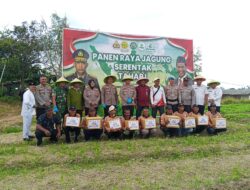 Polresta Barelang Gelar Panen Raya Jagung Serentak untuk Dukung Ketahanan Pangan Nasional