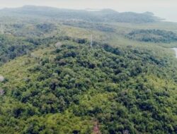 Pemerintah Resmi Tetapkan KEK Tanjung Sauh Batam, Target Serap 366.087 Tenaga Kerja dan Penerimaan Investasi Rp199,6 Triliun