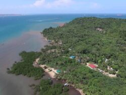 PSN Pulau Tanjung Sauh Batam Dikelola Panbil Group: Proyek Strategis Nasional yang Menjanjikan