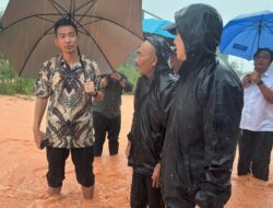 Komitmen Atasi Banjir, BP Batam Rencanakan Bangun Drainase Hingga Kolam Retensi