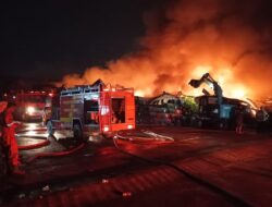 Tinjau Lokasi Kebakaran di KPLI Kabil, BP Batam Pastikan Tidak Ada Korban Jiwa