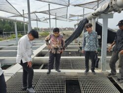 IPAL Batam Capai 98%, BP Batam Gelar Monev Bersama Mitra Korea