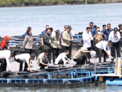 NEWS VIDEO: Amsakar dan Li Claudia Dampingi Wapres Gibran Panen Perdana Lobster di Setokok Batam