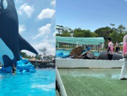 Batam Zoo Paradise dan Waterpark Bernarkan Patung Lumba-Lumba Raksasa Roboh Saat Jam Operasional