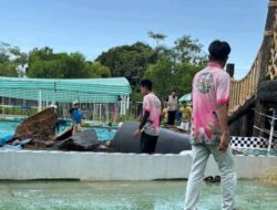 Patung Lumba-Lumba Raksasa di Batam Zoo Paradise Roboh, Warga Khawatirkan Keamanan Pengunjung
