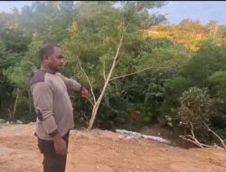 PT BSS Klarifikasi Soal Video Pembuangan Bawang di Melcem, Tegaskan Pemusnahan Sesuai Prosedur