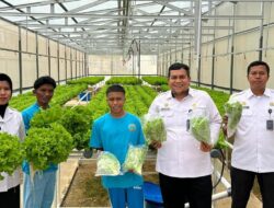 Sinergi Rutan Batam dan CV Sello Hijau Lestari Kembangkan Program Hidroponik untuk Warga Binaan