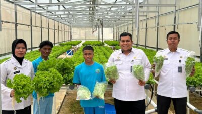 Sinergi Rutan Batam dan CV Sello Hijau Lestari Kembangkan Program Hidroponik untuk Warga Binaan