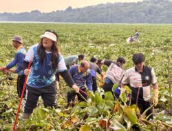 Aksi BP Batam Bersihkan Waduk Duriangkang, Jaga Kualitas Sumber Air