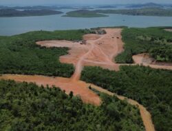 Akar Bhumi Desak Pemerintah Hentikan Aktivitas PT Ginoski Terkait Penimbunan Kawasan Mangrove di Piayu Kota Batam