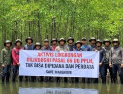 Jimly Asshiddiqie Tegaskan Aktivis Lingkungan Dilindungi Pasal 66 UU PPLH, Tak Bisa Dipidana dan Perdata