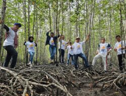 Jelang HPN 2026, Komunitas Jurnalis Kepri Hadirkan Menteri Kehutanan Tanam Mangrove di Bintan