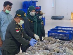 Hasil Perikanan Natuna Kembali Berlayar ke Jakarta, Nilai Ekonomi Capai Rp5,3 Miliar