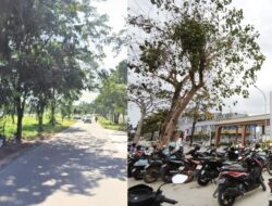 Penampakan Sebelum dan Sesudah Lahan Hijau ROW Jalan Dijadikan Parkir Motor K Square Mall Batam