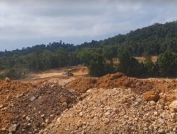 TAJUK REDAKSI: Hutan Digunduli, Krisis Air Menanti Batam