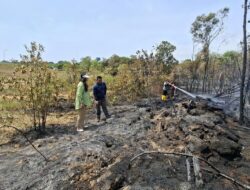 Tinjau Kebakaran Hutan, Ariastuty Imbau Masyarakat Waspadai Setiap Tindakan