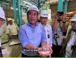 NEWS VIDEO: Stok Beras Tembus Rekor 4,5 Juta Ton, Indonesia Siap Hadapi Ancaman El Nino
