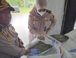 Permintaan Tinggi, 9,2 Ton Teri Kering Natuna Dikirim ke Tanjungpinang dan Bintan