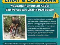 Waspada Pencurian Kabel Listrik, PLN Batam Ajak Masyarakat Aktif Melapor