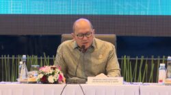 CEO Danantara Rosan : Kesiapan Energi Terbarukan PLN Jadi Faktor Utama Masuknya Investor Asing