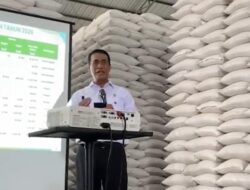 Stok Beras RI Tembus 5,1 Juta Ton, Tertinggi Sepanjang Sejarah