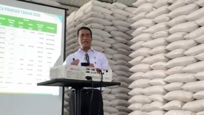 Stok Beras RI Tembus 5,1 Juta Ton, Tertinggi Sepanjang Sejarah
