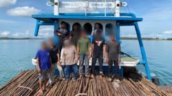 Polda Kepri Gagalkan Penyelundupan 12 Ribu Kayu Bakau dari Kapal KLM Citra Samudra 9 Tujuan Singapura