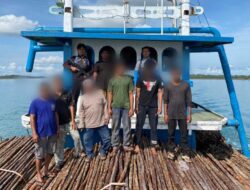 Polda Kepri Gagalkan Penyelundupan 12 Ribu Kayu Bakau dari Kapal KLM Citra Samudra 9 Tujuan Singapura
