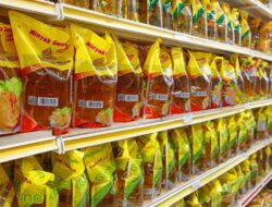 NEWS VIDEO: Ironi Negara Penghasil Sawit Terbesar, Harga Minyak Goreng di Batam Naik