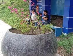 Sempat Dikritik Netizen, BP Batam Mulai Tanam Bunga Kertas di Pot CSR Secara Bertahap