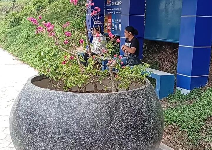 Sempat Dikritik Netizen, BP Batam Mulai Tanam Bunga Kertas di Pot CSR Secara Bertahap