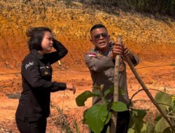 Polisi Buru Pelaku Perusakan Pohon Jati Emas di Batam, Terancam Penjara 2,6 Tahun dan Denda Rp200 Juta
