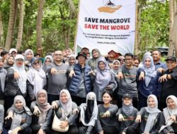 Save Mangrove Batam, Amsakar dan Mahasiswa UNRIKA Tanam 2.000 Mangrove di Nongsa